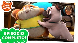 44 Gatti  EPISODIO COMPLETO  Un cane per amico  Serie 1 Episodio 9 [upl. by Stronski709]