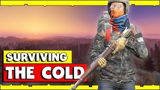 Surviving On The Coldest Map In DayZ [upl. by Fleur]