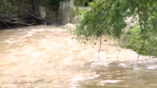 Stockton Creek in Crozet overflows from Tropical Storm Debby [upl. by Nyvek723]