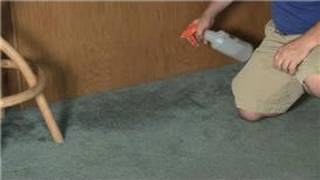 Carpet Cleaning  How to Remove Mildew amp a Musty Smell From Carpet [upl. by Eanehs]