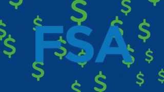 Flexible Spending Accounts FSAs [upl. by Voe4]