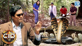 Abhijeet चला Nunchaku नसे Culprit की पिटाई करने  CID  Latest Full Episode [upl. by Engis]