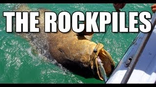 Goliath Grouper Fishing Florida Keys with Capt Dave Sutton [upl. by Ardua]