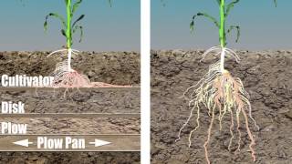 Принципы вертикальной почвообработки Vertical Tillage Principles [upl. by Blodget]