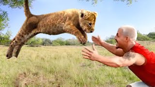 Guy Reunites With Pet Lion After 8 YEARS [upl. by Knox]