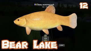 Russian Fishing 4  Bear Lake  Golden TenchTench Spot [upl. by Abdel464]