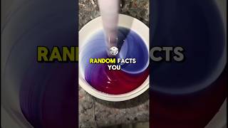 Random Facts You Didnt Know 6  shorts randomfacts satisfying [upl. by Ahsiat]