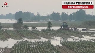 【速報】北朝鮮洪水で作物被害拡大 新義州 生産目標に打撃 [upl. by Aneetsyrk711]