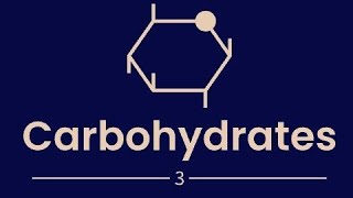 Biochemistry 14 Carbohydrates3 Polysaccharides biochemistry carbohydrates glycoprotein [upl. by Aitnuahs]