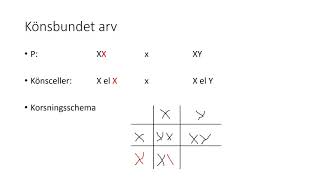 Könsbundet arv [upl. by Kcirdled]