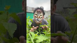 Kucing Minta Susu 🙀🧃🤣🤷‍♂️shotrs part 7 [upl. by Eibo]