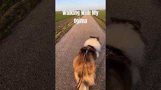 Lassie aka Ogima Walking Like A Boss germany [upl. by Jennilee]