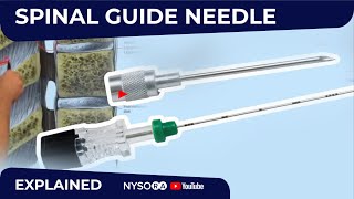 Spinal anesthesia How to use Guide Needle  Regional Anesthesia Crash Course with Dr Hadzic [upl. by Naux310]