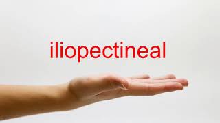 How to Pronounce iliopectineal  American English [upl. by Lahtnero]