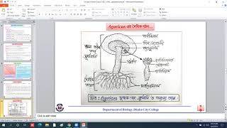 HSC Biology 1st paper Chapter5 class4 [upl. by Retrop622]