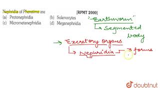 Nephridia of Pheretima are [upl. by Christoffer797]