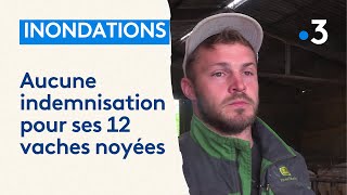 Inondations en Moselle  12 vaches de cet agriculteur sont mortes noyées et il ne sera pas indemnisé [upl. by Elleon]