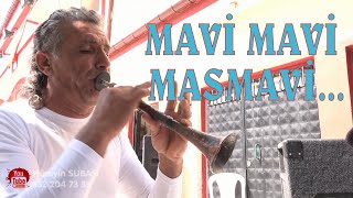 MAVİ MAVİ MASMAVİ ZURNACI MUSTAFA [upl. by Carrillo]