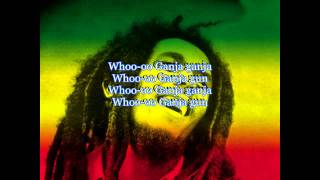 bob marley ganja gun lyrics [upl. by Ystap]