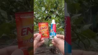 ✨ENO amp Colgate reaction  easy science experimentshorts [upl. by Hairas]