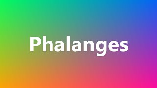 Phalanges  Medical Meaning and Pronunciation [upl. by Kylstra]