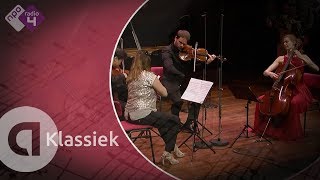 Dvořák Piano Quintet No 2 in A major Op 81  Harriet Krijgh amp Friends  Live concert HD [upl. by Bradly]