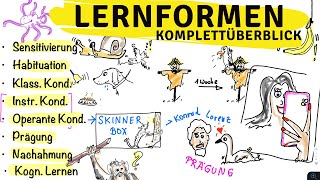 Lernformen Lernarten im Überblick Sensitivierung Konditionierungen kognitiven Lernen [upl. by Saturday42]