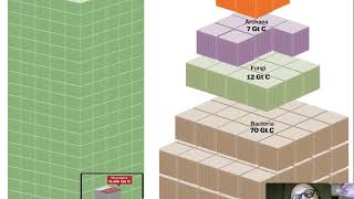 17 Allometric Scaling [upl. by Delila]