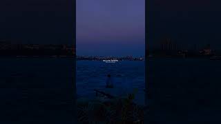 Rajj Ke Rulaya Rajj Ke Hansaya  WhatsApp Status  Lofi Slowed Song Status  ytshorts status song [upl. by Radec657]