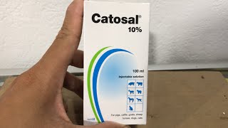 Catosal ⚡️ Thái Lan 🇹🇭 👉 Thuốc bổ tốt nhất 👍 [upl. by Uhthna]