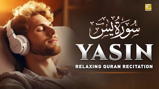 Peaceful Quran Recitation of Surah Yasin Yaseen سورة يس  SOFT VOICE  Zikrullah TV [upl. by Asirram]