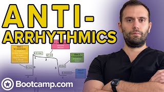 Overview of Antiarrhythmics  HIGHYIELD CARDIOLOGY  USMLE STEP 1 [upl. by Iidnarb]