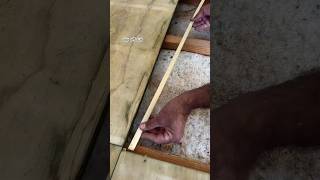 TampG Flooring Installation shorts youtubeshorts woodworking [upl. by Atteloc721]