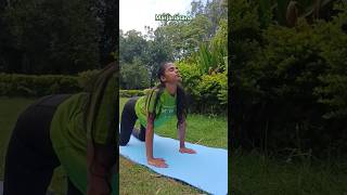 Marjariasana yoga spinehealth backstrength youtubeshorts dailymotivation trend harekrishna [upl. by Huff756]