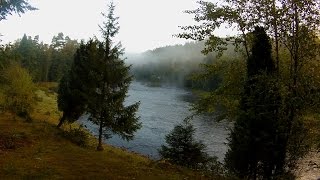 The quest for the big sea trout Fly fishing for big sea trout [upl. by Joelie]