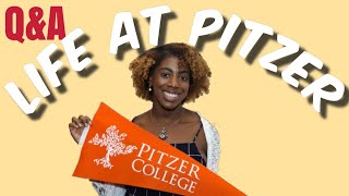 QampA LIFE AT PITZER COLLEGE [upl. by Ajdan333]