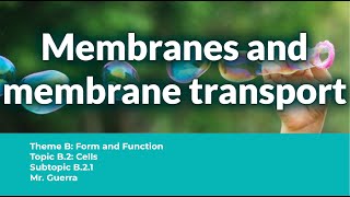 B21 Membranes and membrane transport  IB Biology SL NEW SYLLABUS First assessment 2025 [upl. by Nahsin915]