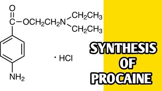 Synthesis of procaine  Procaine synthesis in easy way [upl. by Karp]