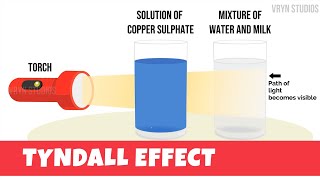 Tyndall Effect Animation  Explanation and Experiment CBSE 9th [upl. by Alard]