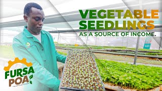 VEGETABLE SEEDLINGS PROPAGATION [upl. by Aihsenor250]