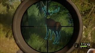 Red deer hunting theHunter Call of the Wild [upl. by Fabe604]