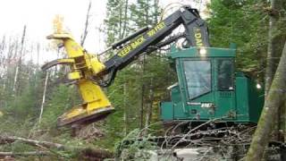 TimberJack Feller Buncher 608S [upl. by Mlawsky]