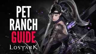 Lost Ark PET RANCH GUIDE  Rewards and Skills Beginners Guide MMORPG PC 2022 [upl. by Nosnirb]