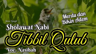 1 Jam Bikin Tenang  Sholawat Nabi Tibbil Qulub Merdu  Penyembuh Rasa 54klt  Dipermudah Urusan [upl. by Enilav]