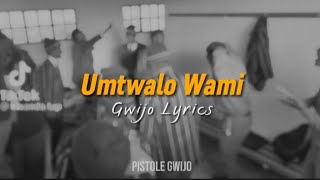 Umtwalo Wami Gwijo  Lyrics [upl. by Ailhad]