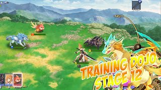 Training Dojo Stage 12 Evertale [upl. by Llerred583]