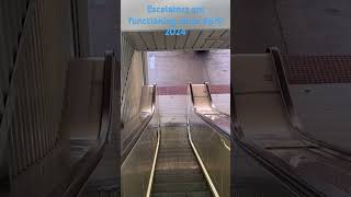 Escalators at Noarlunga Centre Interchange from the Concourse near the restrooms [upl. by Analle582]