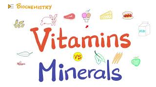 Vitamins vs Minerals  What’s the difference  Diet amp Nutrition Series [upl. by Assyram]