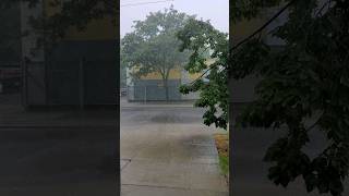 Toronto Down Pour  July 24 2024 [upl. by Aicsile]