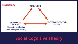 The Social Cognitive View of Personality Theories of Personality  Psychology  in Urdu\Hindi [upl. by Ihculo133]